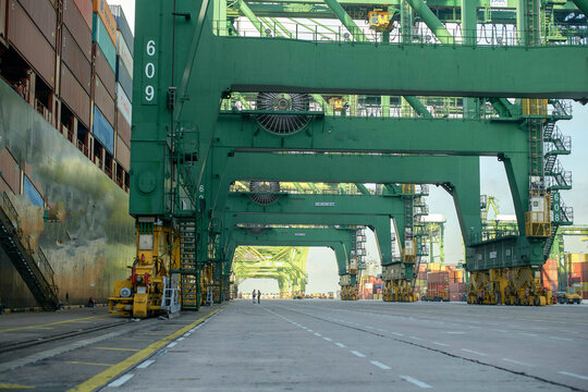 A busy container port with towering green gantry cranes lined up, facilitating the loading and unloading of cargo from a large ship.