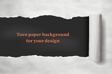 Torn paper background for your design