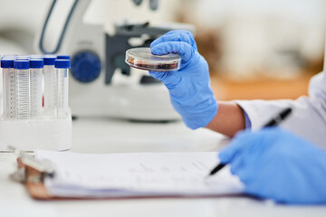 Petri dish, hands and scientist research blood for healthcare development, test and dna analysis in...