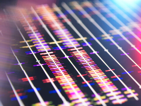 DNA profile on screen in the lab.