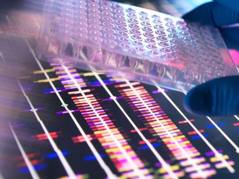 Genetic Research,Scientist holding a multi well plate contains DNA samples with the DNA profiles on a computer screen.