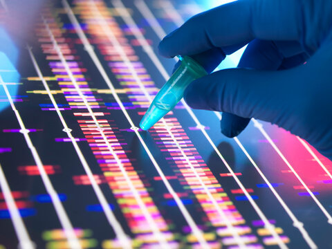 Genomic Research, Scientist holding a DNA sample in a vial with the profile results on screen in the lab