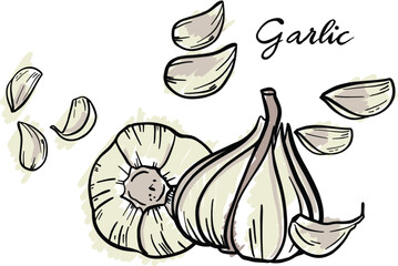 White garlic