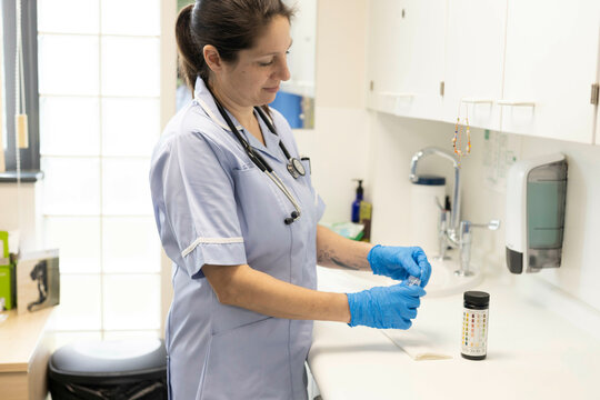 Hands in gloves handling a test result 