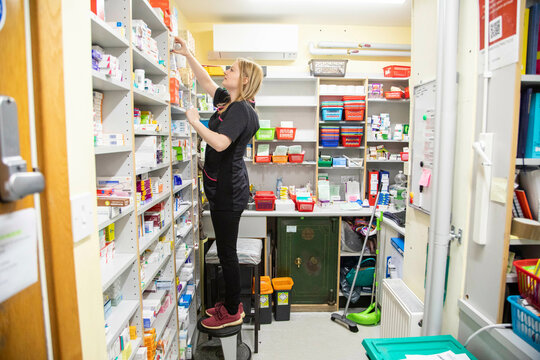 Woman stocking shelves in a storeroom