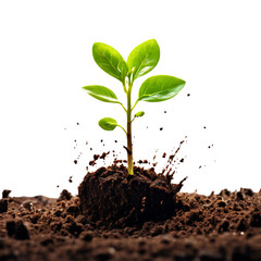 AI art shows a vibrant plant sprout breaking soil, isolated on white, symbolizing growth and renewal