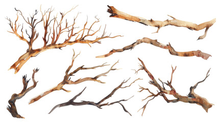 Obraz premium Watercolor dry tree branches set