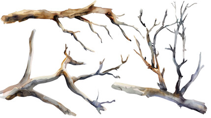 Watercolor dry tree branches set