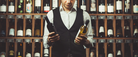 Sommelier holding two bottles of red and white wine in cellar