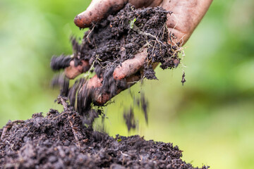 agronomist on a farm practicing agronomy holding soil, doing soil tests in her home laboratory....