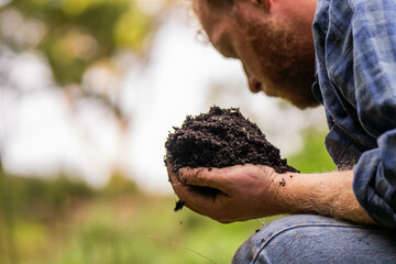 regenerative organic farmer, taking soil samples and looking at plant growth in a farm. practicing sustainable agriculture.