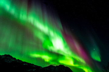 Polar lights, Aurora borealis in green over mountains, Norway