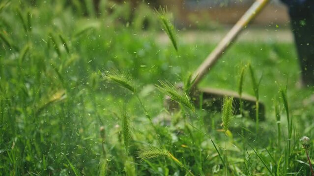 Lawn trimming with handheld string trimmer grass cutter and mower, slow motion, 4k at 120 fps