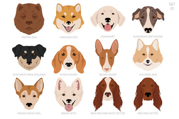 Obraz premium Dog head in alphabet order. All dog breeds. Colour vector design