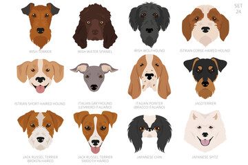 Fototapeta premium Dog head in alphabet order. All dog breeds. Colour vector design