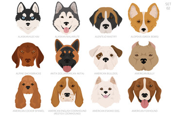 Dog head in alphabet order. All dog breeds. Colour vector design
