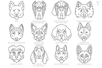 Dog head Silhouettes in alphabet order. All dog breeds. Simple line vector design