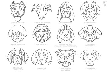 Dog head Silhouettes in alphabet order. All dog breeds. Simple line vector design