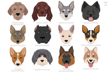 Fototapeta premium Dog head in alphabet order. All dog breeds. Colour vector design