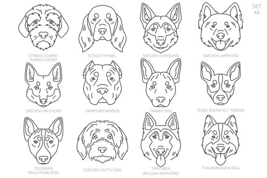 Dog head Silhouettes in alphabet order. All dog breeds. Simple line vector design
