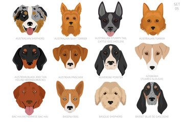 Dog head in alphabet order. All dog breeds. Colour vector design