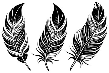 Set of feathers vector