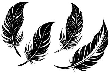 Set of feathers vector