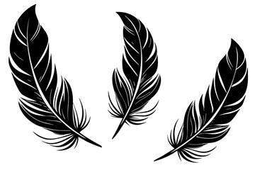 Set of feathers vector