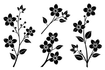 Black and white leaf and floral background