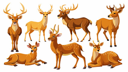 Fototapeta premium Set Of Deer In Different Pose, Collection Of Deer, Deer Set