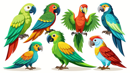 Set Of Parrot In Different Pose, Collection Of Parrot, Parrot Set, Parrot poses, Parrot posing, Parrot, Parrot vector,