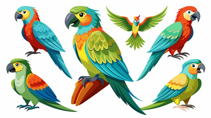 Set Of Parrot In Different Pose, Collection Of Parrot, Parrot Set, Parrot poses, Parrot posing, Parrot, Parrot vector,