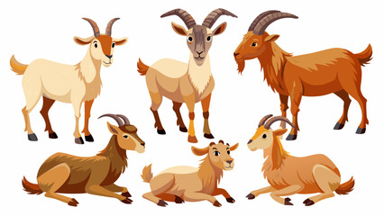 Set Of Goat In Different Pose, Collection Of Goat, Goat Set