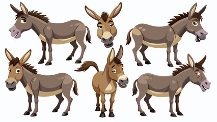 Fototapeta premium Set Of Donkey In Different Pose, Collection Of Donkey, Donkey Set