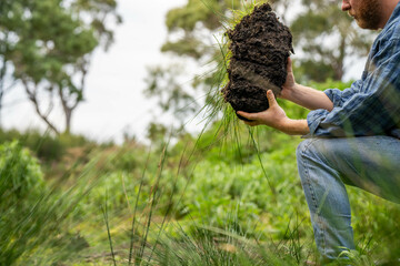 regenerative organic farmer, taking soil samples and looking at plant growth in a farm. practicing sustainable agriculture in australia