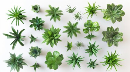 A variety of green plants viewed from above, Generative AI