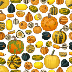 Seamless pattern with types of winter squash. Cucurbita pepo. Cucurbitaceae. Fruits and vegetables. Isolated vector illustration. Art.