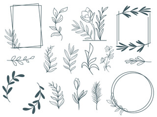 Hand drawn botanical set of foliage, flowers and frame. Ink doodle sketch style of plant. Cute line natural eco motifs elements, vector graphics