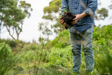 regenerative organic farmer, taking soil samples and looking at plant growth in a farm. practicing...