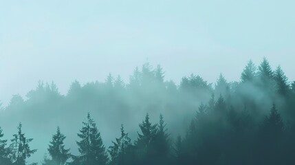Fototapeta premium Fog layers website banner flat design front view nature's veil theme animation vivid 