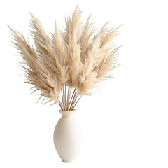 ears of wheat and ears