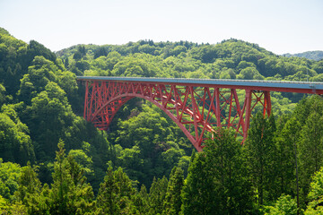 5月のオロチループ橋