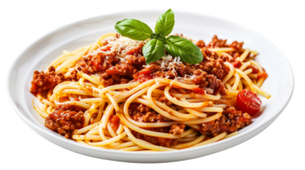 Spaghetti bolognese , on plate