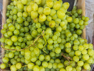 Grapes in market