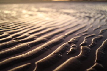rippled sand