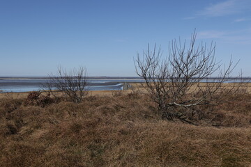 Betrachten Sie die Küstenlandschaft bei Cuxhaven an der Nordsee.