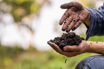 regenerative organic farmer, taking soil samples and looking at plant growth in a farm. practicing...