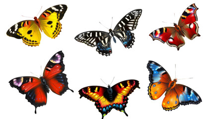 Set of butterflies