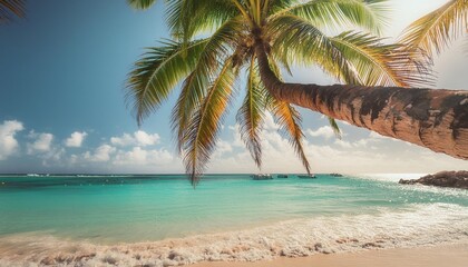 palm tree over the turquoise water of a tropical beach in guadeloupe