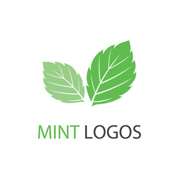 Mint leaf logo vector element template and symbol